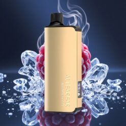 Alibarbar Ingot 9000 Pūfu 22ml e-šķidruma ietilpība E-šķidrums Disposable Vape Blackberry LED displejsus