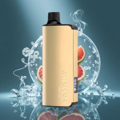 Alibarbar Ingot 9000 Pūti Vienreizējais Veips Vēsā Mētra 22ml e-šķidruma ietilpība LED displejs